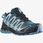 Salomon Xa Pro 3D V8 Gtx Legion Blue Blithe Pearl - zdjęcie 2