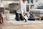 Odkurzacz Bissell SpotClean Pet Plus 37241 - zdjęcie 4