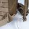 Plecak Mil Tec Small Assault Pack Laser Cut Czarny 14002602 - zdjęcie 9