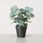 Boltze Sztuczne Rośliny (2 Szt.) Eukalyptus W Kolorze Zielonym Wys. 30 Cm 42772024-1632037 - zdjęcie 2