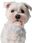 Bizon Etui Case Locator Pets Do Apple Airtag Białe - zdjęcie 4