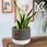 Kadax Osłonka Ceramiczna Pokka 14x15cm Szara - zdjęcie 7