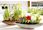 Lime Store Doniczka Misa Etna Z Betonu Architektonicznego 10,8x9cm - zdjęcie 8
