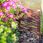 Kadax Palisada Wiklinowa Ogrodowa 100x30cm 5 Szt. - zdjęcie 10