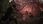 Lords of the Fallen (Gra PS5) - zdjęcie 3