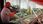 HITMAN World of Assassination (Gra PS5) - zdjęcie 5