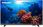 Telewizor Telewizor LED Philips LED 43PFS6808 43 cale Full HD - zdjęcie 5