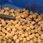 Sonubaits Pellet Zanętowy Method Feeder Fin Perfect Feed 6mm 650 G - zdjęcie 2