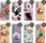Hello Case Etui Do Samsung Galaxy A34 5G Eagle Orzeł - zdjęcie 6