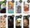 Hello Case Etui Do Samsung Galaxy A34 5G Eagle Orzeł - zdjęcie 4