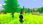 Gra Nintendo Switch Harvest Days My Dream Farm (Gra NS) - zdjęcie 5
