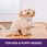 Urine Off Dog & Puppies Neutralizator Zapachu 946 ml - zdjęcie 8