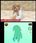 Gra Nintendo 3DS Nintendogs + Cats Golden Retriever & Friends (Nintendo Selects) (Gra 3DS) - zdjęcie 7