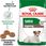 Karma dla psa Royal Canin Mini Ageing +12 800g - zdjęcie 2