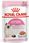 Karma dla kota Royal Canin Kitten Instinctive w sosie 12x85g + w galaretce 12x85g - zdjęcie 2