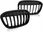 Tuning Tec Grill Przedni Black Połysk Do Bmw X1 F48 15 - zdjęcie 3