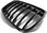 Tuning Tec Grill Przedni Black Połysk Do Bmw X1 F48 15 - zdjęcie 2