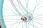 Rower Donatella Fresh Mint 28 2023 - zdjęcie 10