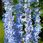 12SZT SZTUCZNA WISTERIA GLICYNIA ZŁOTOKAP 110CM - zdjęcie 2