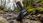 Salomon Męskie Alphacross 5 Gtx Gore Tex 473075 Czarne - zdjęcie 9