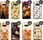 Hello Case Etui Do Samsung Galaxy S10E Jesień Obudowa - zdjęcie 11