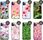 Hello Case Etui Do Iphone 11 Pro Wiosna Wiosenne Spring - zdjęcie 4