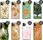 Hello Case Etui Do Iphone 11 Pro Wiosna Wiosenne Spring - zdjęcie 6