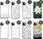 Hello Case Etui Do Iphone 11 Pro Max Białe Obudowa Guma - zdjęcie 2