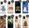 Hello Case Etui Do Samsung Galaxy S10 Lite Misie Koala - zdjęcie 9