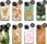 Hello Case Etui Do Iphone 13 Mini Wiosna Wiosenne Case - zdjęcie 6