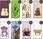Etui Do Iphone 11 Pro Misie Koala Miś Case - zdjęcie 6