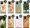 Hello Case Etui Do Samsung Galaxy S10 Lite Wiosna Case - zdjęcie 8