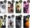 Hello Case Etui Do Apple Iphone 13 Animals Zdjęcia Case - zdjęcie 5