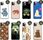 Hello Case Etui Do Iphone 11 Pro Max Misie Koala Miś - zdjęcie 4