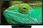 Telewizor Telewizor LED Lenco DVL2483BKV2 24 cale HD Ready - zdjęcie 9