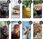 Hello Case Etui Do Realme 8 8 Pro Animals Zdjęcia - zdjęcie 4