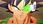 Gra PS4 Dragon Ball Z Kakarot Legendary Edition (Gra PS4) - zdjęcie 4