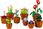 LEGO ICONS 10329 Małe roślinki - zdjęcie 2