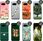 Hello Case Etui Do Google Pixel 8 Wiosna Wiosenne Spring Obudowa Pokrowiec - zdjęcie 4