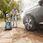 Urządzenie sprzątające Cecotec Odkurzacz Warsztatowy Conga Triton 5000 Ultraclean & Car (5713) - zdjęcie 8