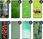 Hello Case Etui Z Klapką Do Iphone 13 Mini Zielone Grassy Green Futerał Case - zdjęcie 10