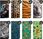 Hello Case Etui Z Klapką Do Samsung Galaxy S7 Tygrys Tygryesk Tiger Futerał - zdjęcie 7