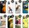 Hello Case Etui Do Nokia G11 4G G21 Papuga Papużka Tukan Obudowa Pokrowiec - zdjęcie 5