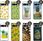 Hello Case Etui Do Google Pixel 7 Pro Ananas Owoce Egzotyczne Obudowa Pokrowiec - zdjęcie 2