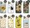 Hello Case Etui Do Iphone 12 Pro Max Owady Motyle Pszczółki Obudowa Pokrowiec - zdjęcie 3