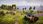 Gra na PC Expeditions A MudRunner Game (Gra PC) - zdjęcie 4
