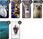 Hello Case Etui Z Klapką Do Sony Xperia 1 Iii Wzory Animals Zdjęcia Zwierzęta - zdjęcie 9