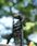 Filtr do obiektywu Freewell Filtr ND16/PL do DJI Osmo Pocket 3 - zdjęcie 3