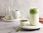 Kawa Mokate Matcha Latte Classic Napój Kawowy 6szt. - zdjęcie 6