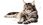 Karma dla kota Royal Canin Maine Coon 400g - zdjęcie 5
